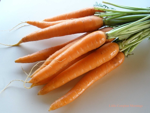 [Carrots[5].jpg]