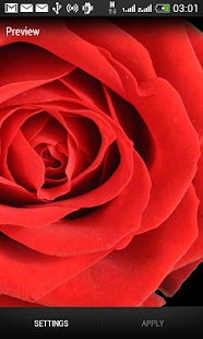 Free Rose Wallpaper Free APK