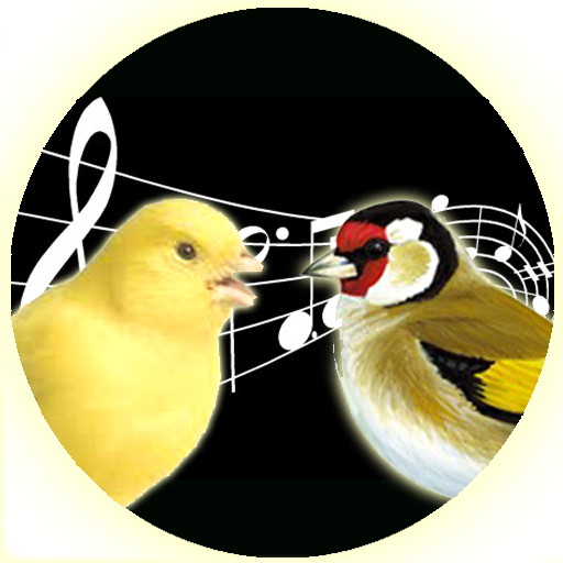 Singing Canary Goldfinch Train