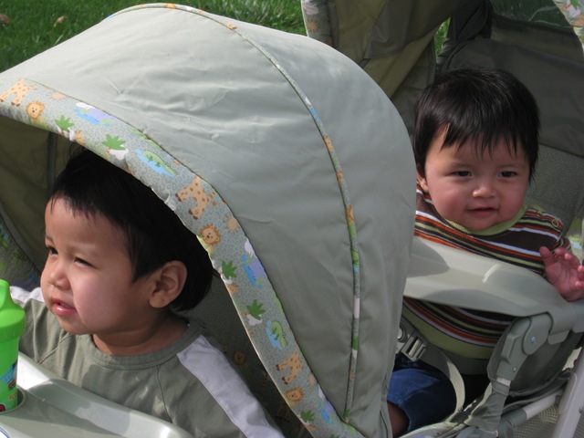 [IMG_02528.jpg]