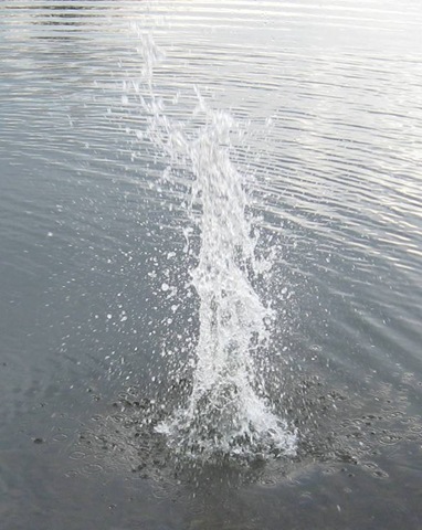 [Splash[3].jpg]