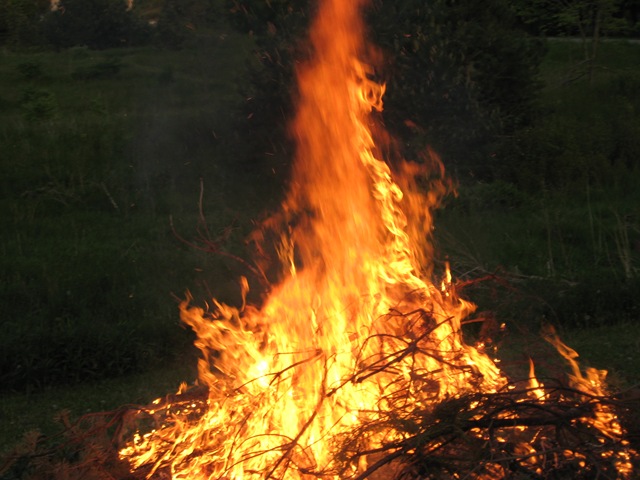 [IMG_03763.jpg]