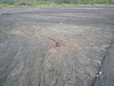 Asphalt lake, Trinidad