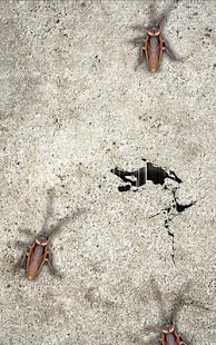 How to download KillCockroach 1.0 apk for bluestacks