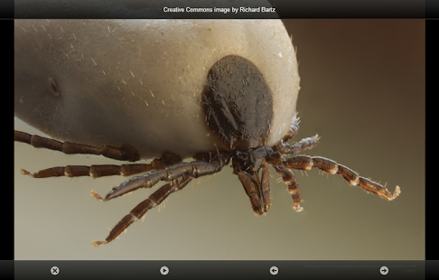 smart Microscope Lite Screenshots 4