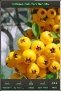 Free Organic Skin Care Secrets APK for PC