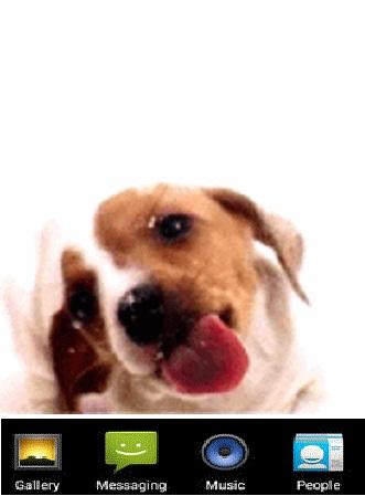 Dog Screen Live Wallpaper