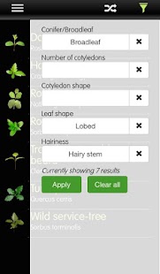 How to mod Forest Seedlings patch 1.0.8 apk for pc