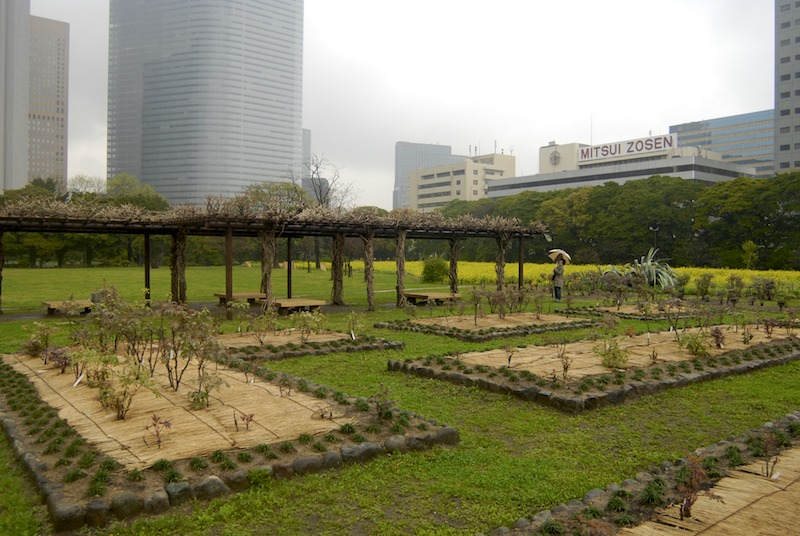 20080410_0057_hamarikyu1.jpg