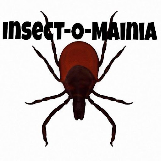 Insect-O-Mainia