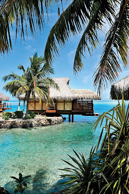 Remember those Hollywood classics set in the south seas? Live it out when the Paul Gauguin takes you to spectacular Moorea, near Tahiti.