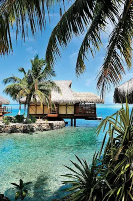 Remember those Hollywood classics set in the south seas? Live it out when the Paul Gauguin takes you to spectacular Moorea, near Tahiti.