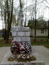 Памятник Партизанам д.Середка