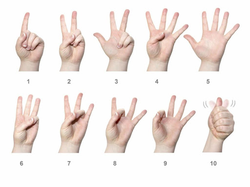 Learn Sign Language