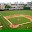 Baseball FANatic Download on Windows