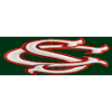 Spikes Baseball logo