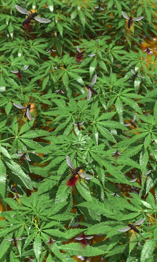 無料个人化AppのGanja Free|記事Game