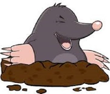 Mole Mash Screenshots 1
