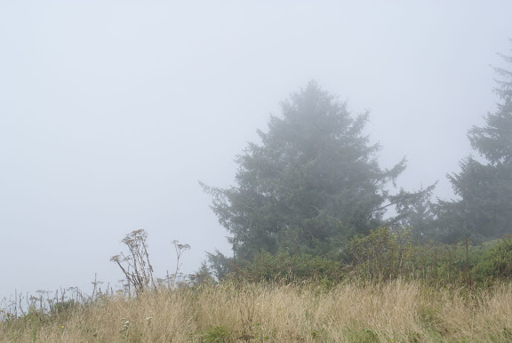 Photography, art photography