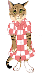 Chat