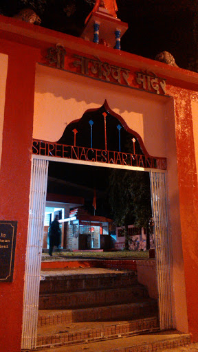 Shree Nageshwer Temple Belapur