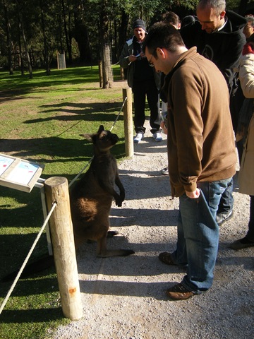 [Yarra Valley 013[4].jpg]
