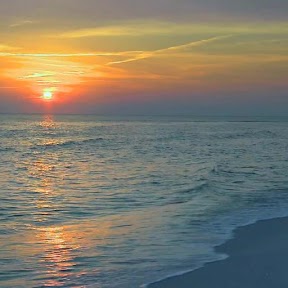 Ocean Live Wallpaper