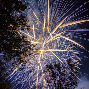Bonne St-Jean! by Éric Senterre - Public Holidays July 4th