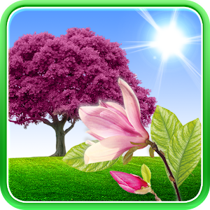 Sakura Live Wallpaper.apk 1.0.3