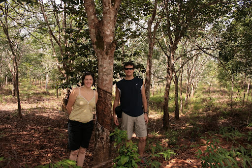 Nous dans une Plantation d'arbres à Caoutchouc