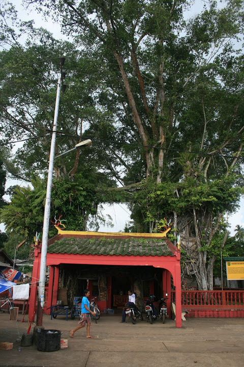 Temple chinois dans arbre dans le Village