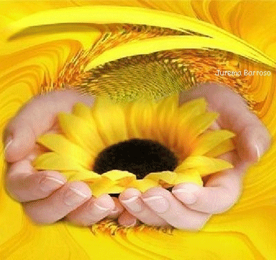 girassol.gi