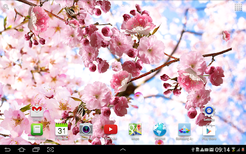 Sakura Live Wallpaper