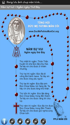 LÂN HẠT MÂN CÔI