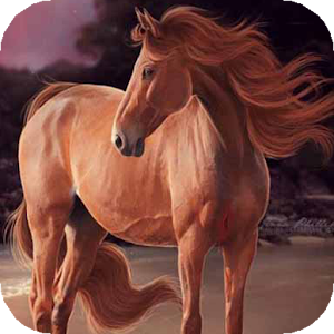 Horse at the sea LWP.apk 1.0