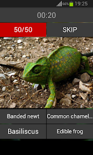 Guess the reptile Screenshots 4