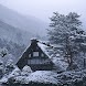 The Four Seasons of a Japanese