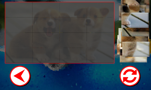 How to install Dogs Puzzles patch 1.4.0 apk for bluestacks