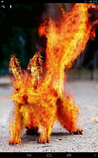 Free Fiery Squirrel Live WP APK for Android