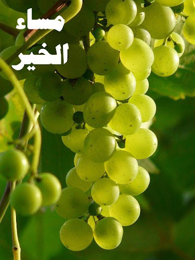 【免費生活App】مساء الخير 2:صور للمشاركة-APP點子