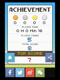 Flat Birds poster 10