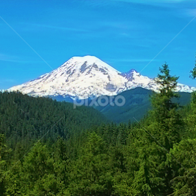 Mt Rainer , Washington by Julia Arredondo - Landscapes Mountains & Hills
