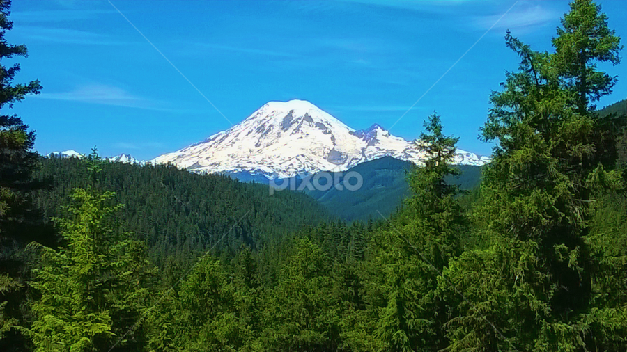 Mt Rainer , Washington by Julia Arredondo - Landscapes Mountains & Hills