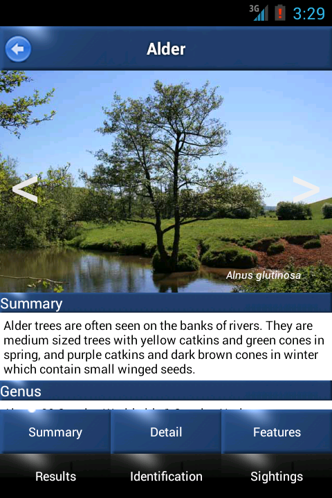 Tree Id - British Trees Screen 3
