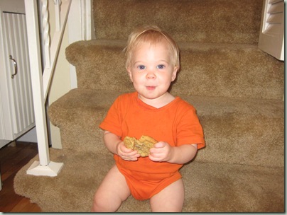 David Photos 005