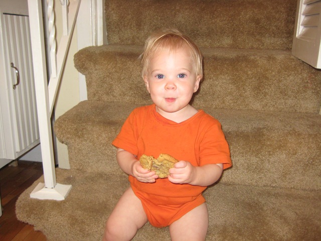 [DavidPhotos0053.jpg]