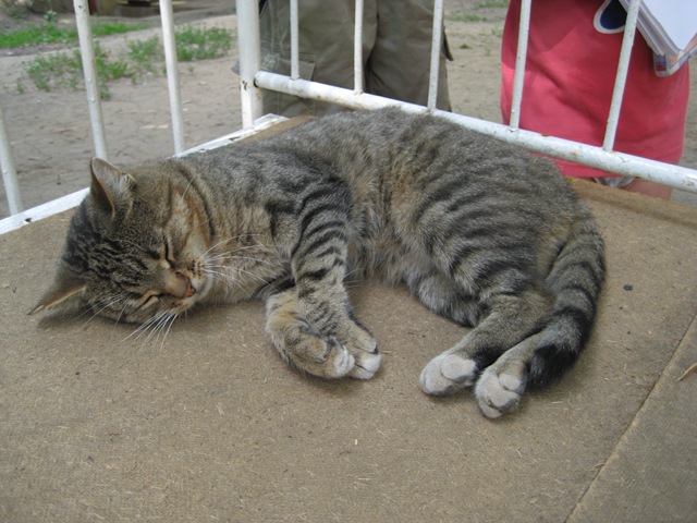 [IMG_16452.jpg]