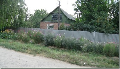 cottage with flowers