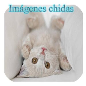 Imágenes chidas.apk 8.0