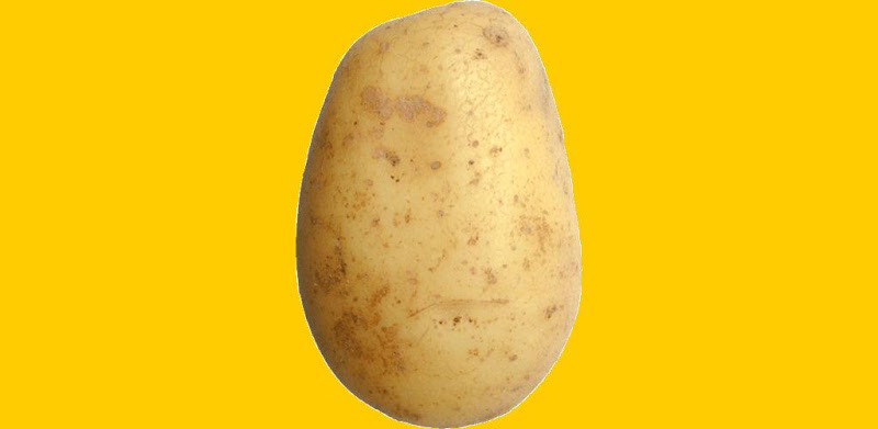 Potato